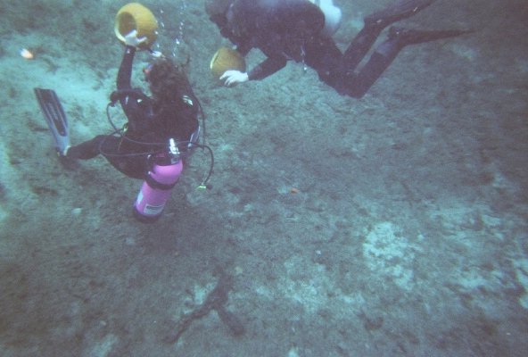 Crystal River- 3 Sisters Spring, Underwater Pumkin Carving